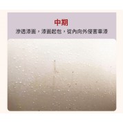 Innovacar D1 鐵粉清除劑 500ml