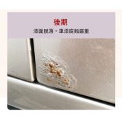 Innovacar D1 鐵粉清除劑 500ml