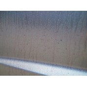 CarPro TRIX 鐵銹柏油2合1 4L
